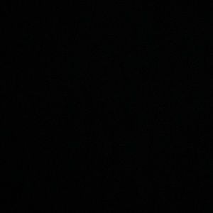 Meet your Posher, Gloria